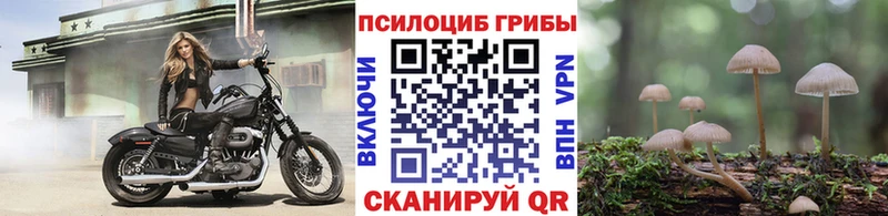 Купить где  Сретенск  Псилоцибиновые грибы прущие грибы 